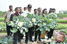 Walikota Resmikan Kampung Organik