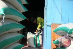 Harga Beras di Bojonengoro Turun Rp500/Kilogram