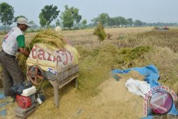 Pemkab Ngawi Minta Petani Waspadai Cuaca Ekstrem