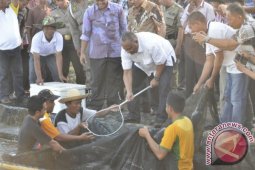 Gubernur Gorontalo Dorong Petani Budidayakan Udang Vaname