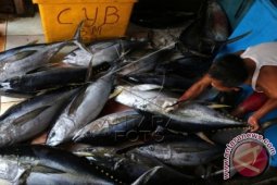Sabang Tawarkan Ikan Tuna ke Tiongkok