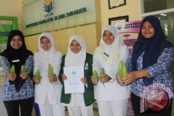 Teh Pare ala Unusa untuk Penderita Diabetes