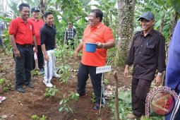 Buleleng Tanam 500 Bibit Pohon Sistem Adopsi