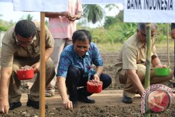 BI Lhokseumawe Datangkan Petani Baawang Brebes