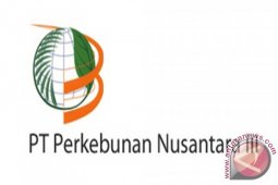Pelepasan Lahan Eks PTPN III Pijorkoling Belum Temui Titik Terang