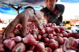 Harga Bawang Merah Kembali Naik di Lhokseumawe