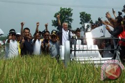Kementan Optimis Target Produksi Beras