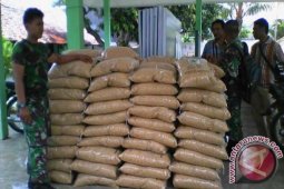 Kodim Situbondo akan Distribusikan Bantuan Bibit Padi