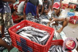 Produksi Ikan di Tanjabtim belum maksimal