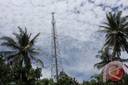 Bongkar Muat Sapi SItubondo