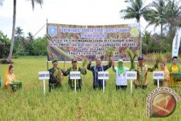 PANEN RAYA