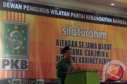PKB: Pendamping Jokowi setelah pilkada