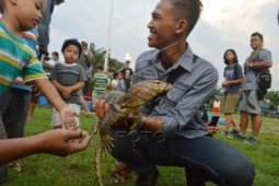 BKSDA Singkawang Lepaskan Empat Ekor Biawak