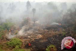 Tanjabtim komitmen cegah kebakaran hutan dan lahan