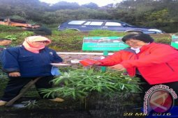 Menteri Siti Nurbaya Resmikan Taman Edelweis Bromo TNBTS