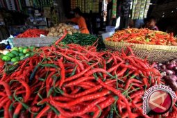 Harga cabai Jambi naik karena pasokan berkurang