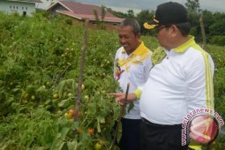 PTPHPP Anggarkan Program Optimalisasi Lahan