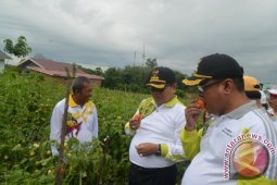 Dinas PTPHPP Balangan Terus Memantau Areal Perwasahan