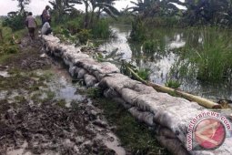Bojonegoro Alokasikan Rp1 Miliar Untuk Normalisasi Sungai