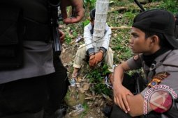 Pemilik Ladang Ganja di Tangkap