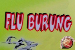 Disnak Pamekasan Bentuk Tim Sigap Flu Burung