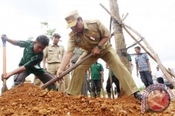 Gubernur Kalsel Gelorakan Gerakan Penanaman Pohon
