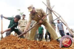 Pena Hijau Tanam Pohon Di Perkantoran Pemprov