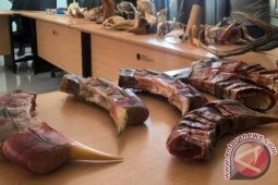 Masyarakat Berperan Lindungi Satwa Langka di Kaltim