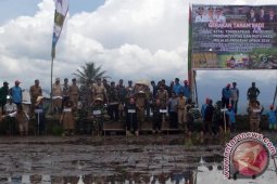 Rejanglebong siapkan lahan sawah baru 617 hektare