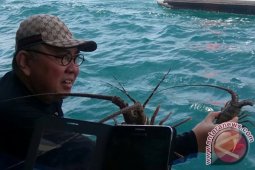 Gubernur pimpin pemasangan 'bioreeftek' di Pulau Tikus