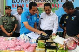 KASUS NARKOBA JARINGAN INTERNASIONAL