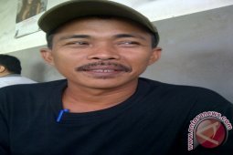 Harga Karet di Tapsel Merangkak Naik