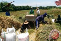 Diskop  Probolinggo Revitalisasi KUD untuk Dukung Swasembada Pangan