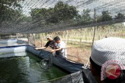 Baznas Kukar Jalankan Program "Zakat Community Development"