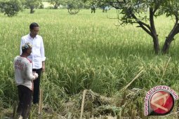 Presiden Jokowi soroti soal kelestarian alam