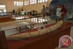 Museum Trinil