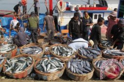 Harga ikan meningkat dratis di Sabang