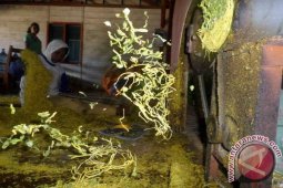 Dishutbun Bojonegoro Mulai Bagikan Benih Tembakau