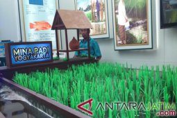 KKP Targetkan Peningkatan Perikanan Budi Daya Hingga 19,5 juta ton