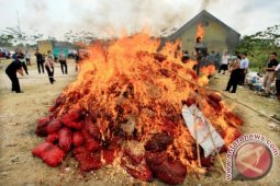 Pemusnahan Bawang Merah Selundupan