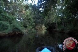 Pemerintah Diminta Selamatkan Sungai Karang Mumus
