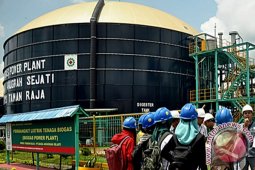 Ini dia "energi hijau" dari Asian Agri