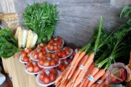 Aplikasi Freshbox tawarkan solusi belanja sayur segar dan kebutuhan dapur