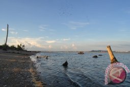 Pemerintah Diminta Segera Tangani Abrasi Pantai di Balikpapan