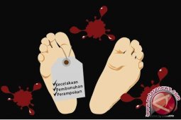 Enam oknum anggota TNI jadi tersangka mutilasi dua warga sipil