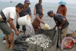 Hasil tangkapan nelayan Sabang menurun