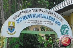 Cara taman rimba Jambi antisipasi lonjakan pengunjung lebaran