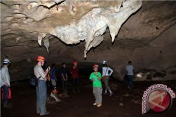 Kaltim Dorong Karst Mangkaliat Jadi Warisan Dunia