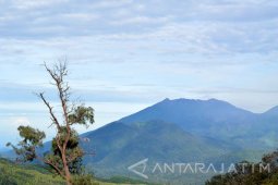 Tim SAR Terkendala Kabut Badai di Gunung Raung