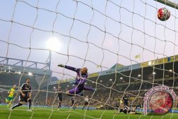 Norwich dipastikan terdegradasi meski menang atas Watford